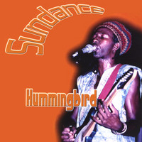 Sundance - Hummingbird
