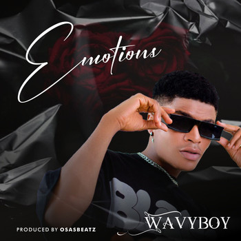 Wavyboy - Emotions