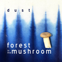 Dust - forest in the mushroom