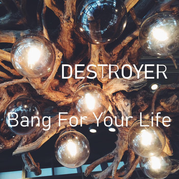 Destroyer - Bang For Your Life