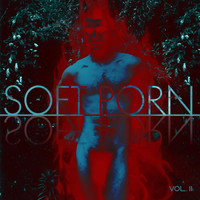 SOFT PORN - Vol II