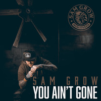 Sam Grow - You Ain't Gone