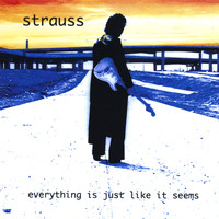 Strauss - everything is just like it seems