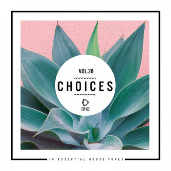 Various Artists - Choices - 10 Essential House Tunes, Vol. 28