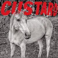 custard - Monday / What Am I Gonna Do