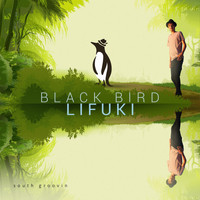 Lifuki - Blackbird