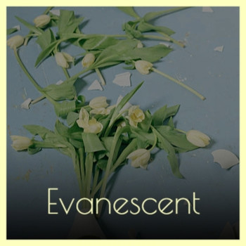 Various Artist - Evanescent