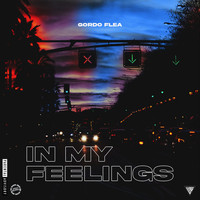Gordo Flea - In My Feelings (Explicit)