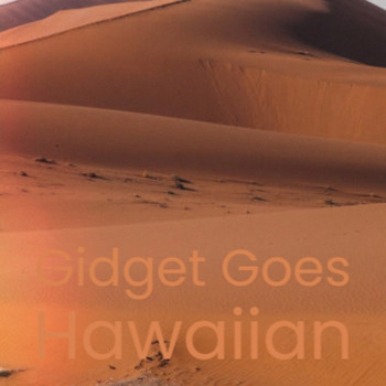 Various Artist - Gidget Goes Hawaiian