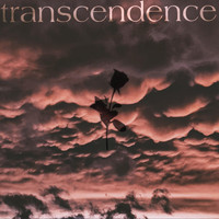 Blackrose - trancendence