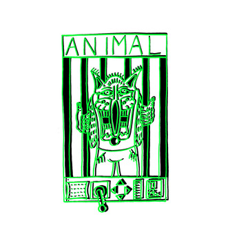 Wavves - Animal