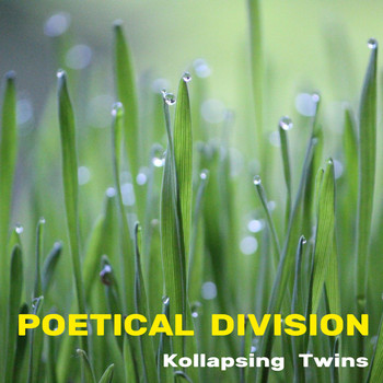 Collapsing Twins - Poetical Division