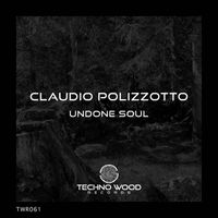 Claudio Polizzotto - Undone Soul