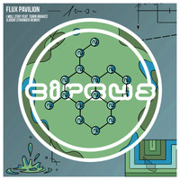 Flux Pavilion feat. Turin Brakes - I Will Stay (Liquid Stranger Remix)