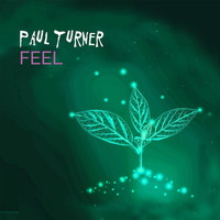 Paul Turner - Feel