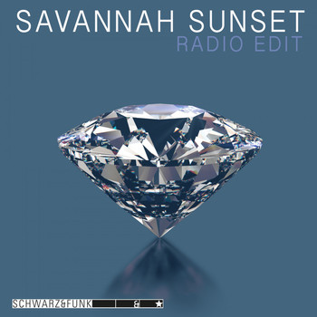 Schwarz & Funk - Savannah Sunset (Radio Edit)