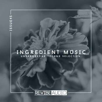 Various Artists - Ingredient Music, Vol. 45 (Explicit)
