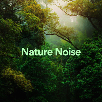 White Noise - Nature Noise