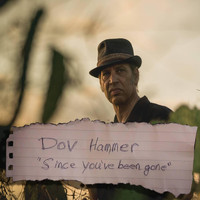 Dov Hammer - Since You've Been Gone