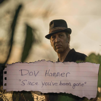 Dov Hammer - Since You've Been Gone
