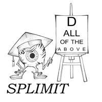 Splimit - D. All of the Above (Explicit)