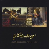 Schonberg - Splendid Rosa Birth