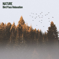 Nature Sounds Nature Music, Sounds of Nature Noise, The Outdoor Library - Nature: Bird Pass Relaxation