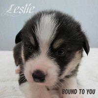 Leslie - Bound to You