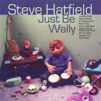 Steve Hatfield - Just Be Wally