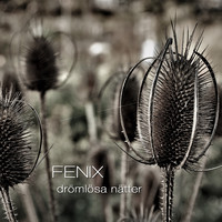 Fenix - Drömlösa nätter