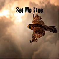 Unity - Set Me Free