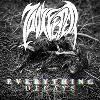 Zookeeper - Everything Decays