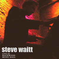 Steve Waitt - Live at Rockwood Music Hall