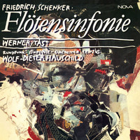Werner Tast, Rundfunk-Sinfonieorchester Leipzig & Wolf-Dieter Hauschild - Friedrich Schenker: Flötensinfonie