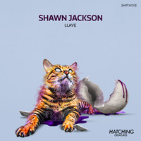 Shawn Jackson - Llave