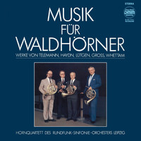 Hornquartett des Rundfunksinfonieorchesters Leipzig - Musik für Waldhörner