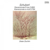 Dieter Zechlin - Schubert: Piano Sonatas D. 850 / D. 784