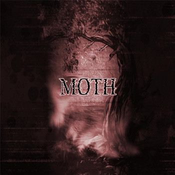 MOTH - Diminished Light