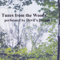 Devil's dream - Tunes from the Woods
