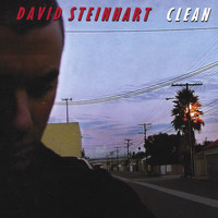 David Steinhart - Clean