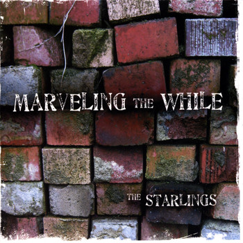 The Starlings - Marveling the While