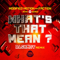 Modified Motion & Faction - Whats That Mean (BlckHry Remix)
