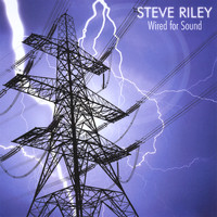 Steve Riley - Wired For Sound