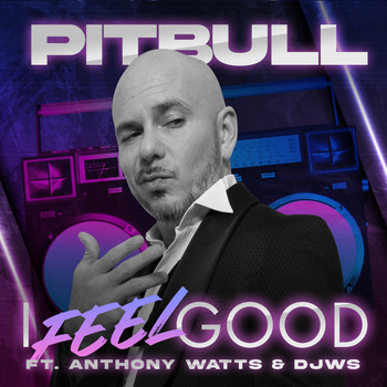 Pitbull - I Feel Good
