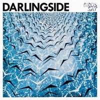 Darlingside - Birds Say (Deluxe)