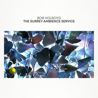 Bob Holroyd - The Surrey Ambience Service