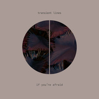 Transient Lines - If You're Afraid