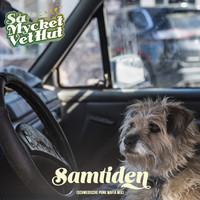 Vet Hut - Samtiden (Schwedische Punk Mafia Mix [Explicit])