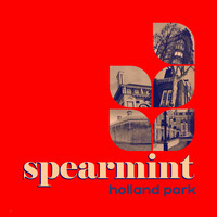 Spearmint - Since Bowie Died