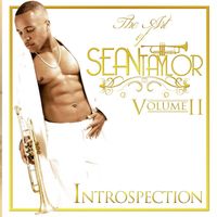 Sean Taylor - The Art of Sean Taylor, Vol. II: Introspection